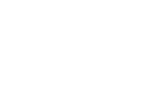 lines